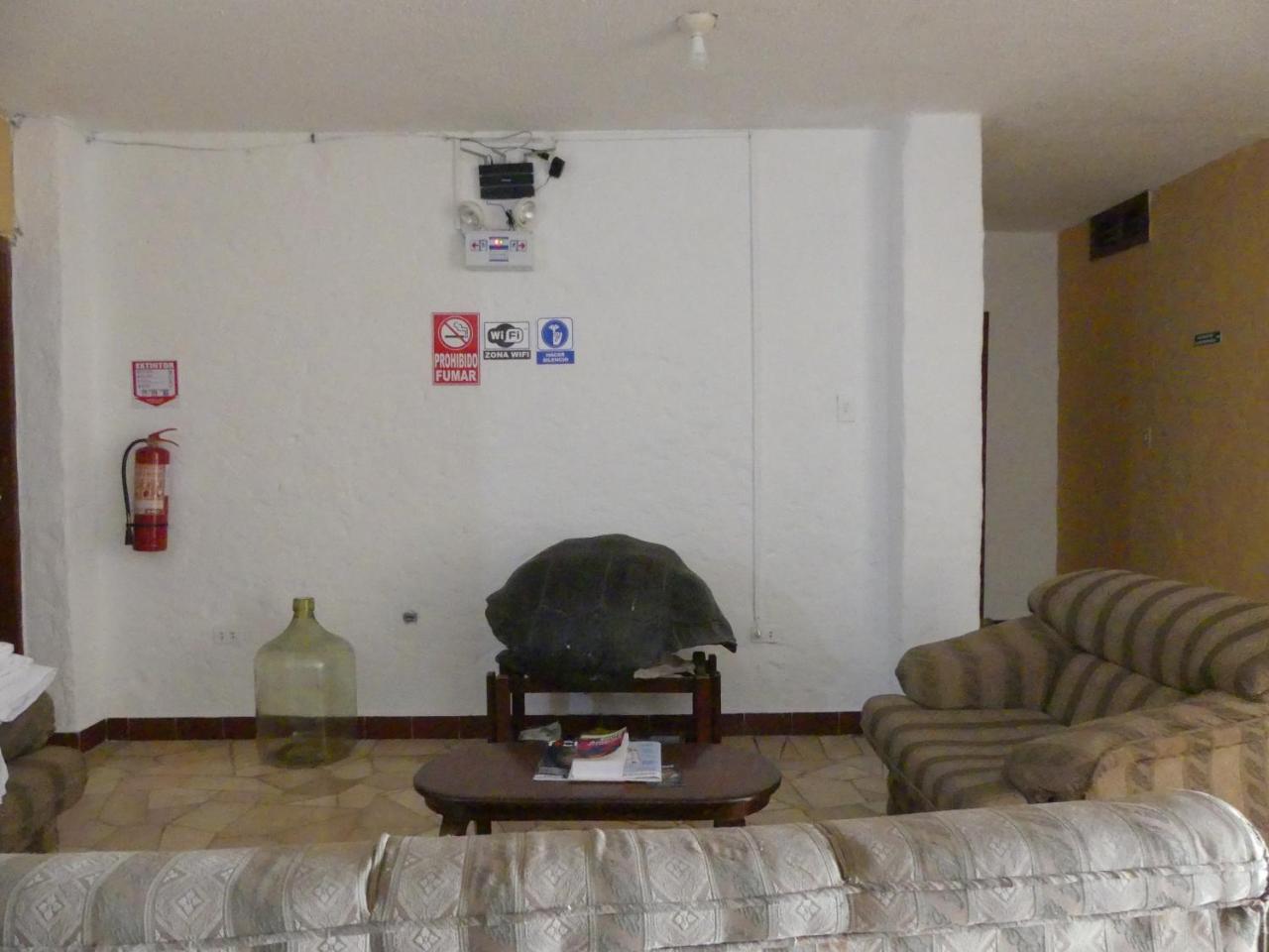 Hostal Estrella De Mar 푸에르토아요라 외부 사진